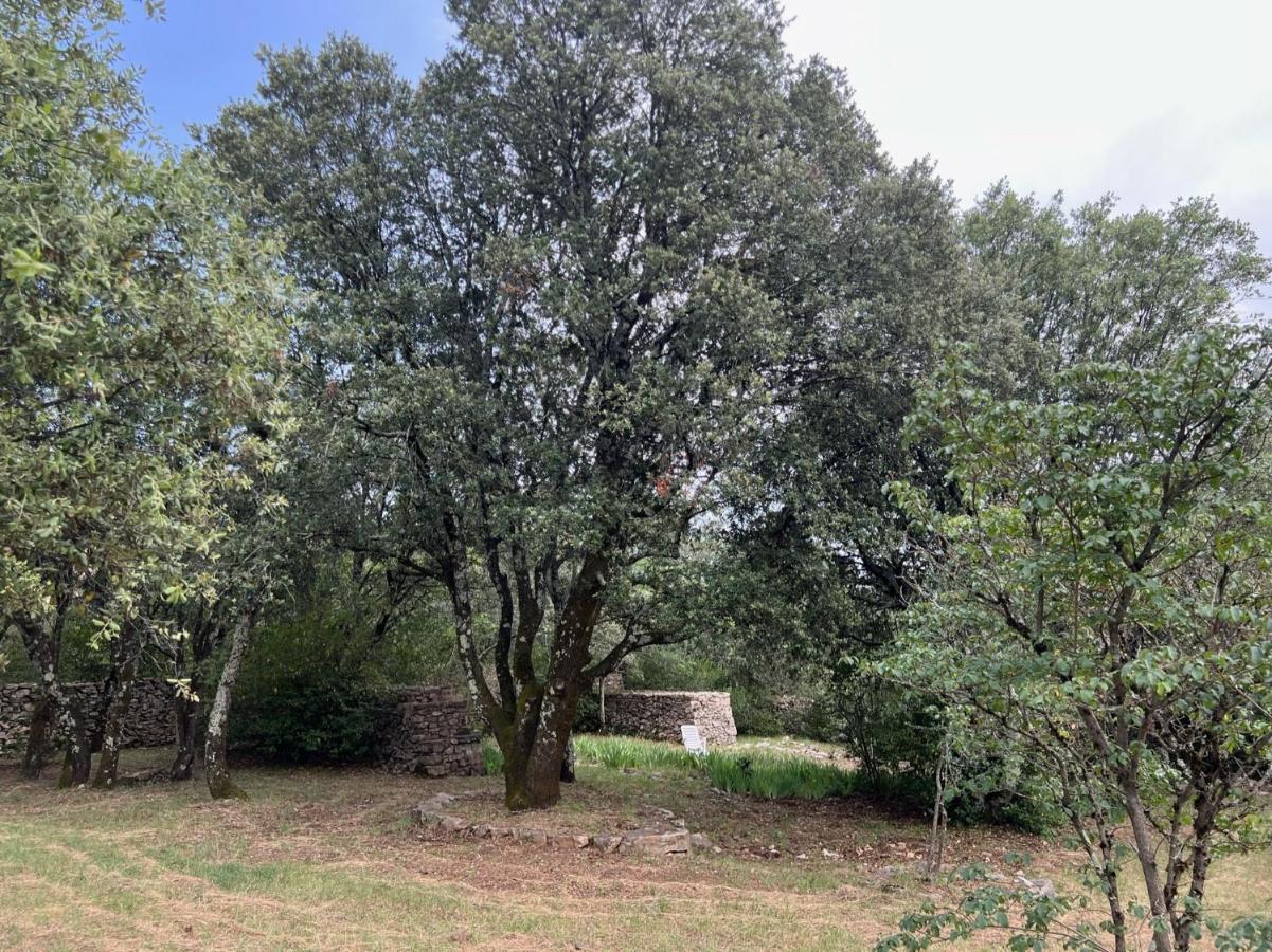 Luxurious Family House With Pool In Ardeche. Villa Les Vans Eksteriør billede